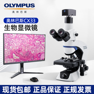 奥林巴斯显微镜CX23CX33生物显微镜BX53BX43CX43CKX53SZ51SZ61