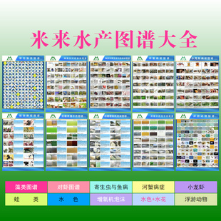 高清藻类图谱南美白对虾水色河蟹淡水鱼寄生虫对照图米来水产包邮