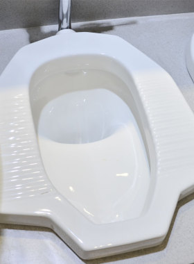 科勒蹲便 K-4002T 蹲便器防臭S弯公共卫生间适用陶瓷白色