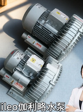 双速自制高压湿四角47212用低噪小型内德州离心品牌炉子引风机