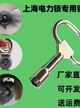 上海电力电表箱钥匙内五角电箱圆锁国家电网配电柜计量箱专用钥匙