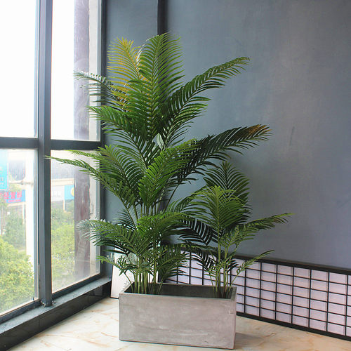 仿真假葵树珍珠葵竹凤尾葵植物绿植室内客厅家居酒店特大盆栽装饰 - 封面