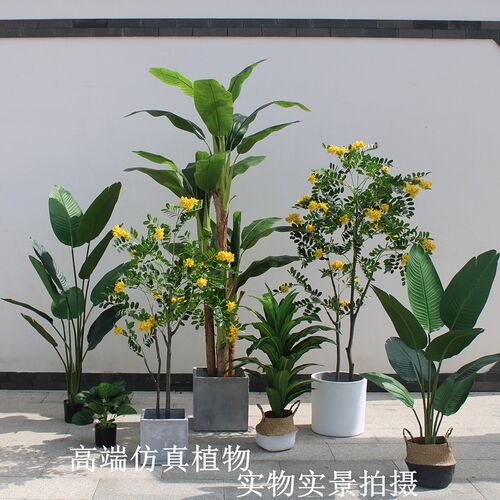包邮中大型北欧风仿真落地旅人蕉