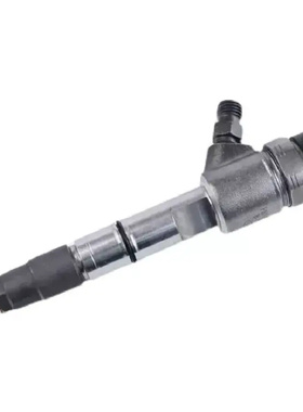 0445110447共轨喷油器喷油嘴适用一汽大柴CA4DC1 injector nozzle
