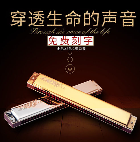 德国复音c调专业初学入门孔口琴