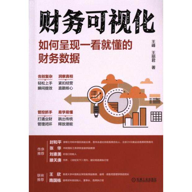 【官方正版】 财务可视化 9787111741787 王峰, 王丽君著 机械工业出版社