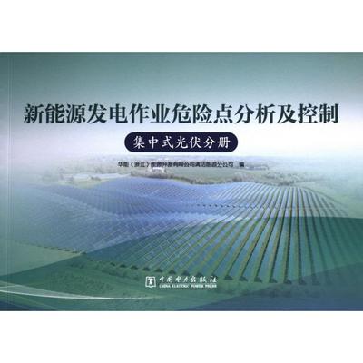 【官方正版】 新能源发电作业危险点分析及控制 9787519874421 华能 (浙江) 能源开发有限公司清洁能源分公司编 中国电力出版社