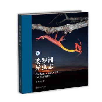 【官方正版】 婆罗洲异虫志 9787568933520 张巍巍著 重庆大学出版社