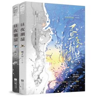 【官方正版】 昼夜潮湿 9787559488701 顾子行著 江苏凤凰文艺出版社