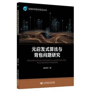 【官方正版】 元启发式算法与背包问题研究 9787563572779 魏泽群著 北京邮电大学出版社