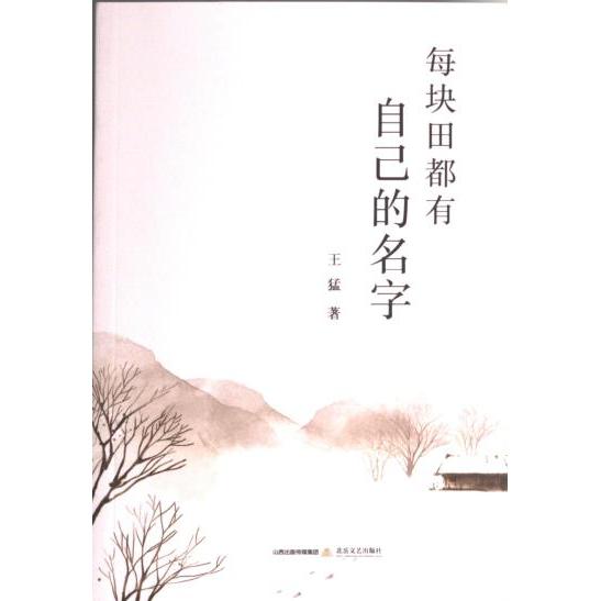 【官方正版】 每块田都有自己的名字 王猛著 北岳文艺出版社 9787537866019