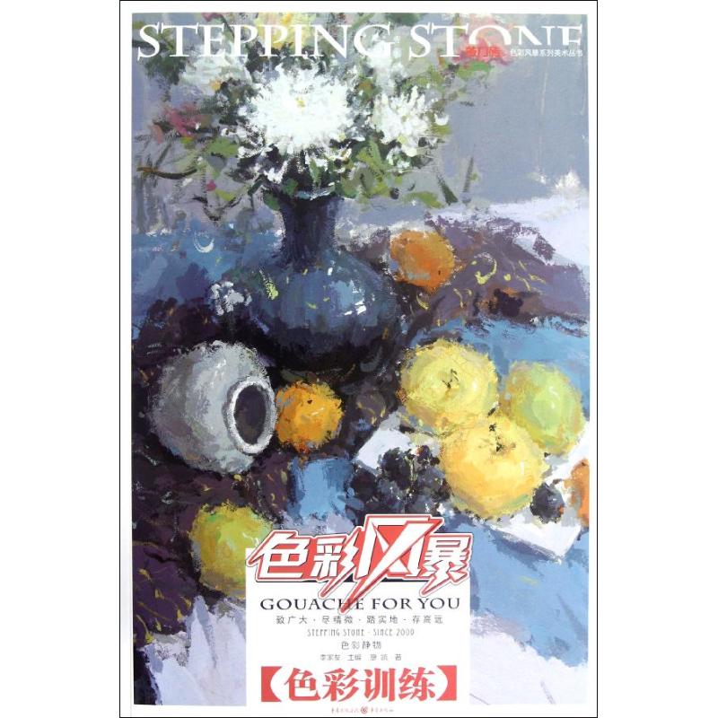 【官方正版】 敲门砖.色彩风暴#cln#色彩静物.色彩训练 9787229055912 廖凯 重庆出版社