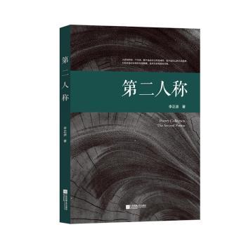 【官方正版】 第二人称 9787559494443 李正源, 著 江苏凤凰文艺出版社