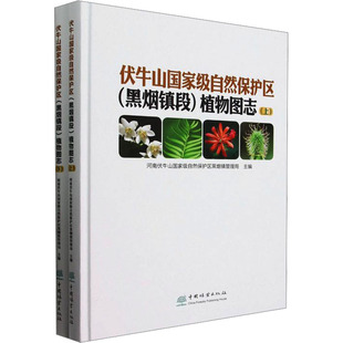 【官方正版】 伏牛山国家级自然保护区 (黑烟镇段) 植物图志 9787521920888 河南伏牛山国家级自然保护区黑烟镇管理局主编