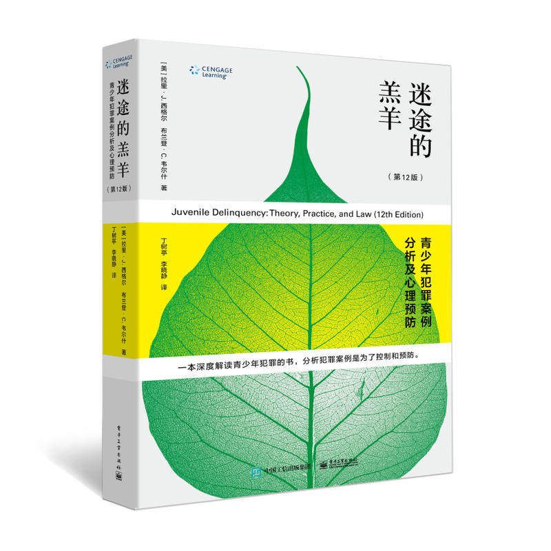【官方正版】 迷途的羔羊 9787121362330 (美) 拉里·J. 西格尔, 布兰登·C. 韦尔什著 电子工业出版社