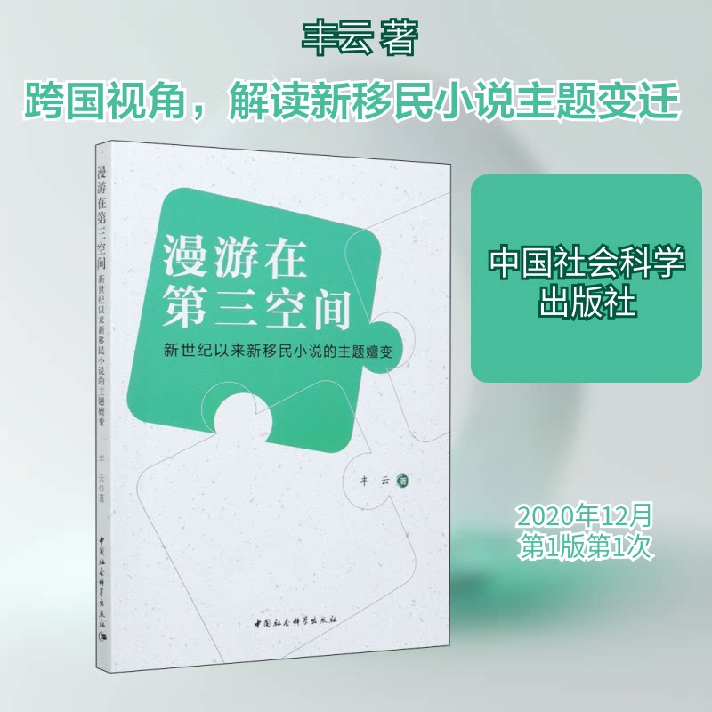 【官方正版】 漫游在D三空间 9787520377157 丰云著 中国社会科学出版社