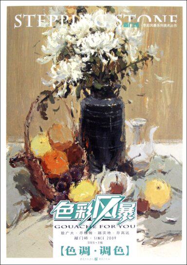 【官方正版】 色彩风暴#cln#色调.调色 9787229055424 李家友 编 重庆出版社