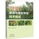 9787572511820 核桃嫁接与整形修剪技术图谱 王念 魏玉君主编 社 河南科学技术出版 官方正版