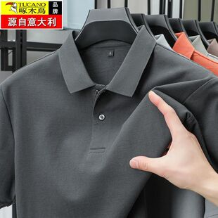 短袖 T恤 纯棉夏季 翻领短袖 啄木鸟男士 薄款 新款 POLO衫 中年休闲男装