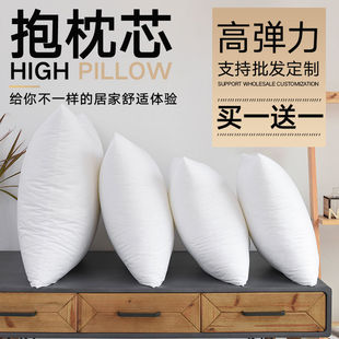 65可定制方芯婚庆 买一送一抱枕芯靠枕芯长方形卧室45