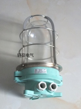 船用照明灯 DS7-2M-A作业灯 792055 船舶专用室内作业灯60W