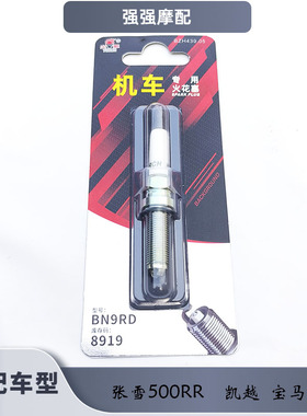 宝马 R1200-GS-RT-R-RS C600 C650 C650GT双侧电极正品铱金火花塞