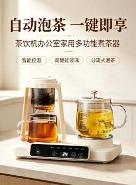 双座带茶漏养生杯炖煮一体