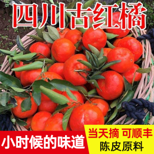 四川红橘古红桔子万州大红袍酸甜柑子孕妇水果新鲜10斤陈皮原料
