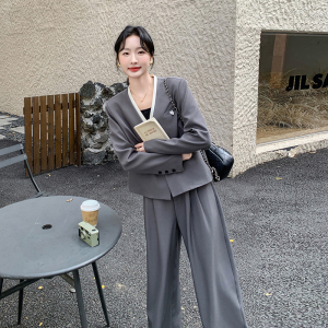 灰色西装套装女2025新款春季高级感洋气时尚时髦气质阔腿裤两件套图片