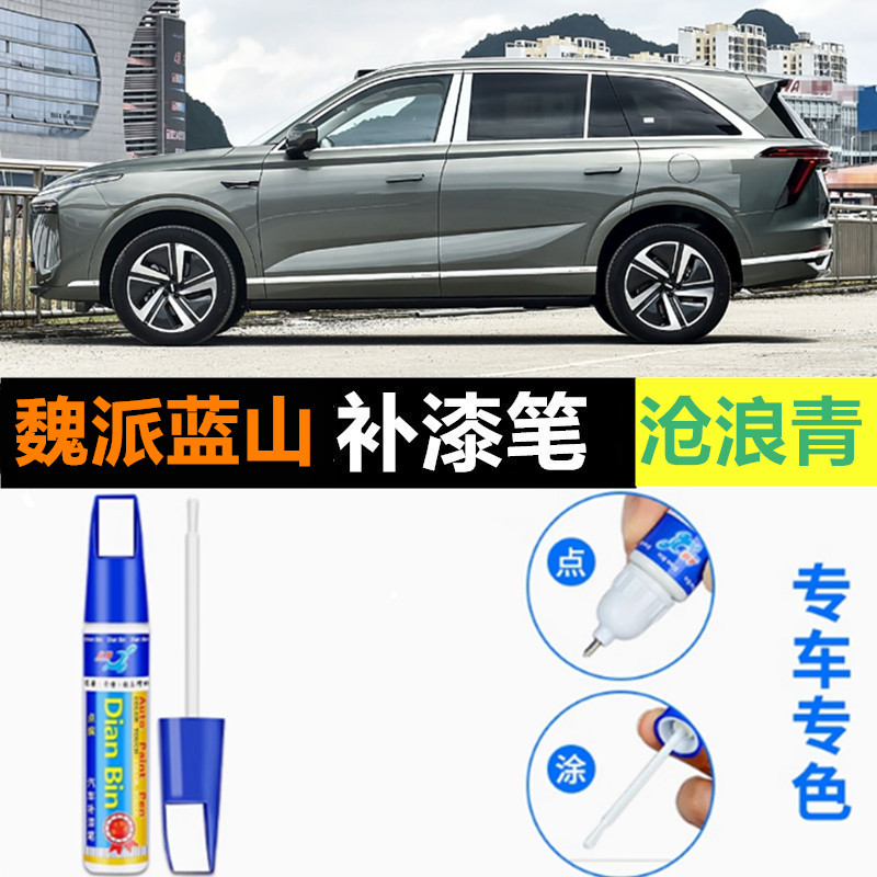 派蓝山DHT-PHEV流光金补漆笔