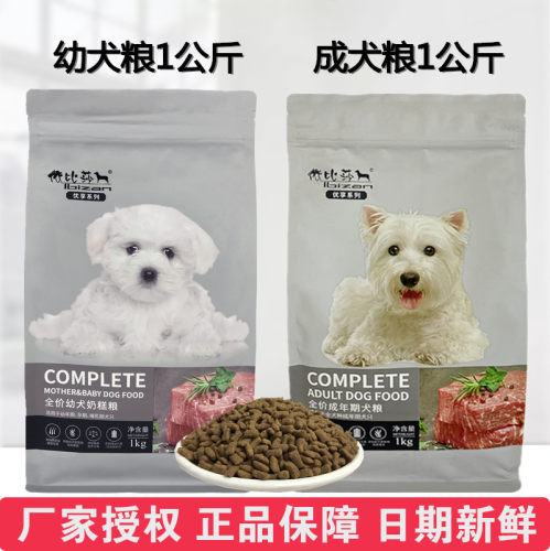 奶糕泰迪金毛萨摩博美比熊幼犬