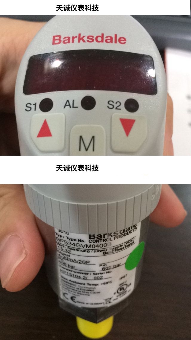 美国巴士德电子压力开关BPS31GVM0010B