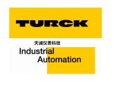 图尔克（TURCK）NI10-K20SK-AZ3X拍前请询价