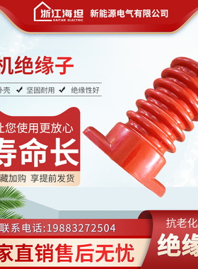 高压电机接线柱绝缘子6KV10KV电机高压接线柱防爆矿用M12/M16