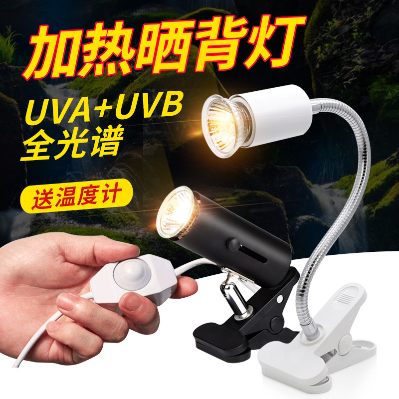 养龟箱养龟神器乌龟缸用品家用龟缸晒台造景鱼龟混养缸大型晒背灯,宠物/宠物食品及用品,桌面缸,淘宝优惠券,粉丝福利购,淘宝优惠卷