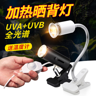 养龟箱养龟神器乌龟缸用品家用龟缸晒台造景鱼龟混养缸大型晒背灯