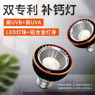 绿伴爬宠UVB灯泡乌龟晒背灯补钙三合一蜥蜴变色龙爬虫10.0灯管5.0