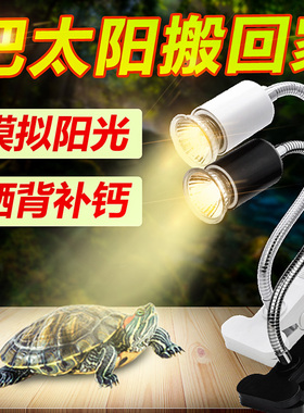 乌龟晒背灯全光谱太阳灯uvb龟缸专用灯uva加热灯泡爬宠照背晒龟灯