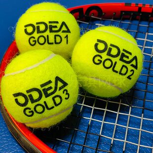 Odear欧帝尔gold3成人无压训练球高弹耐打Silver diamond