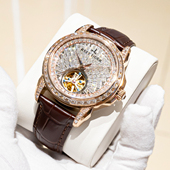 瑞夫泰格超凡璀璨满钻表盘全自动机械表皮表带男士 腕表RGA1905