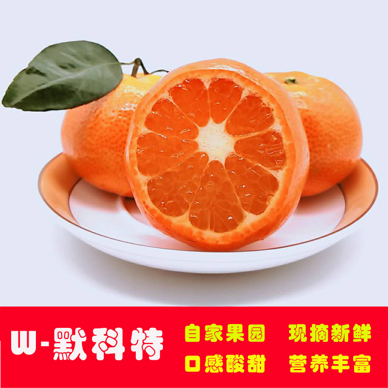 w默科特/玫瑰柑非沙糖橘现摘新鲜应季孕妇水果无核大桔子10斤包邮