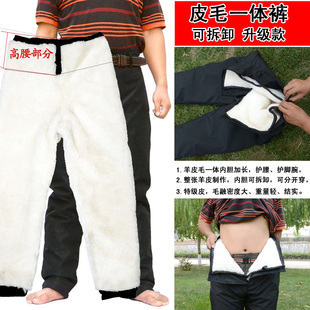 休闲羊毛老人真皮棉裤 中老年冬季 男士 男女羊皮毛一体内胆保暖裤 裤