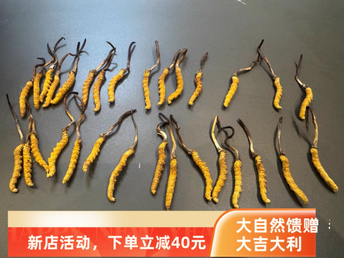 2026年青海杂多野生虫草30根/7.2克,牧民自产自销,无礼盒。
