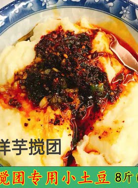 武都洋芋搅团土豆2025新鲜土豆