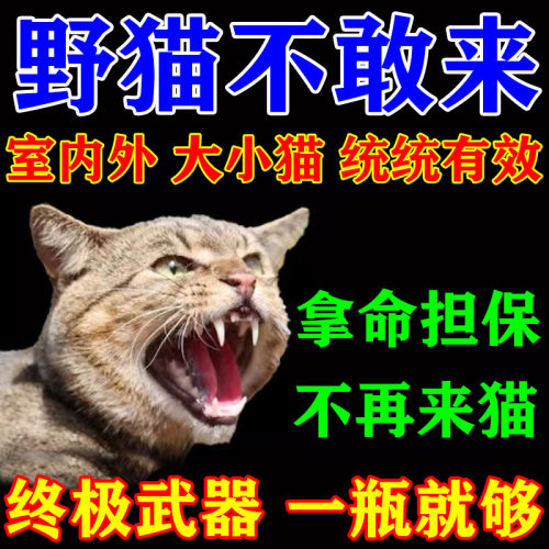 100%包解决野猫，不好用不收钱