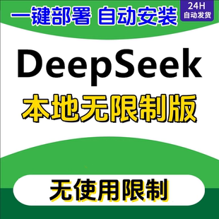 DeepSeek R1 人工远程 一键安装 无限制 满血 AI 电脑版 资料教程
