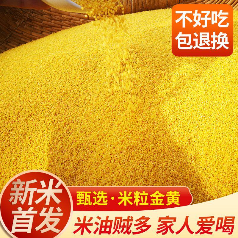 【整包50斤批发】黄金苗小米新米50斤批发煮粥小米25kg食堂饭店用