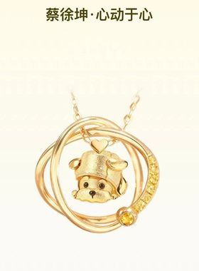 新款明星蔡徐坤音乐徽章实体项链定制款高品质小众高级感锁骨链女