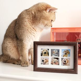 猫咪足迹卡宠物爪子印纪念手印狗狗脚印掌印印泥猫爪留念相框摆台