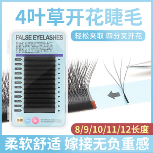 四叶草嫁接假睫毛日系0.07粗自然浓密柔软磁性开花不散根YY 3叶草